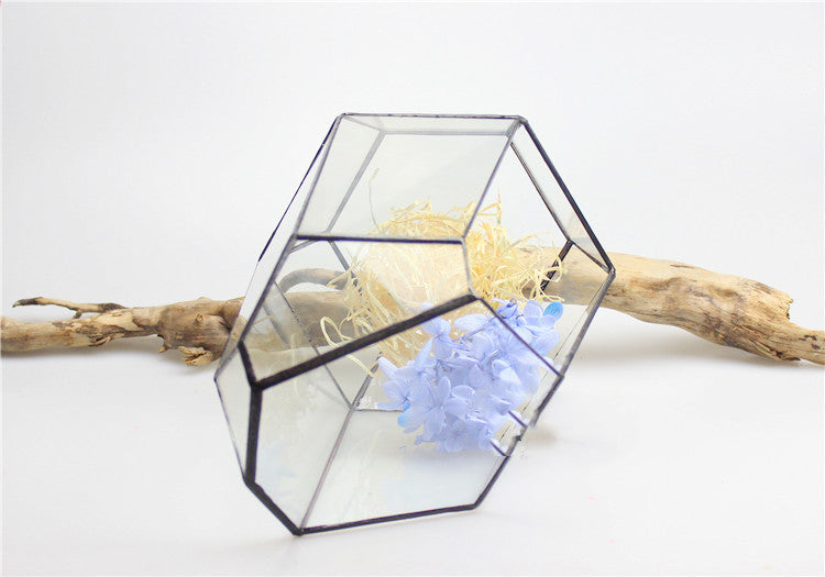 Plant eco bottle