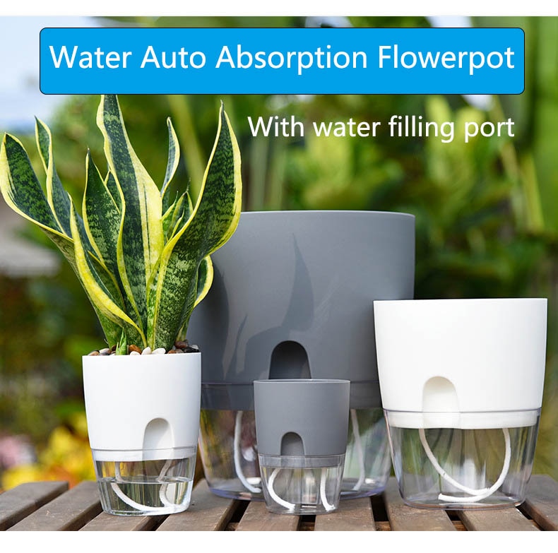 Transparent Self Watering Flowerpot
