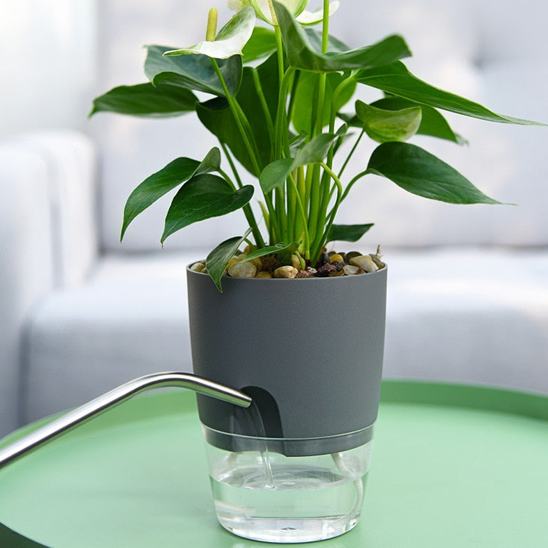 Transparent Self Watering Flowerpot