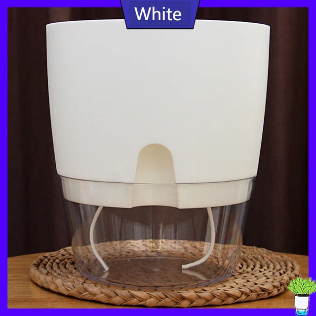 Transparent Self Watering Flowerpot