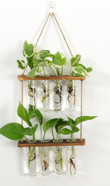 Wall Hanging Terrarium Flower Glass Planter Propagator for Plant Garden