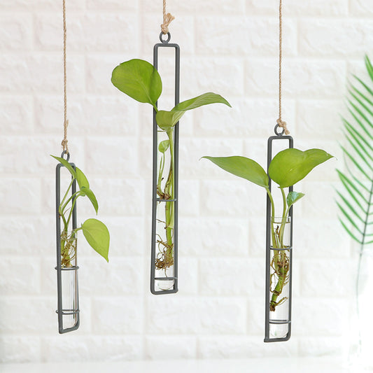 Creative Home Modern Minimalist Long Wall Hanging Hydroponic Plant Vase