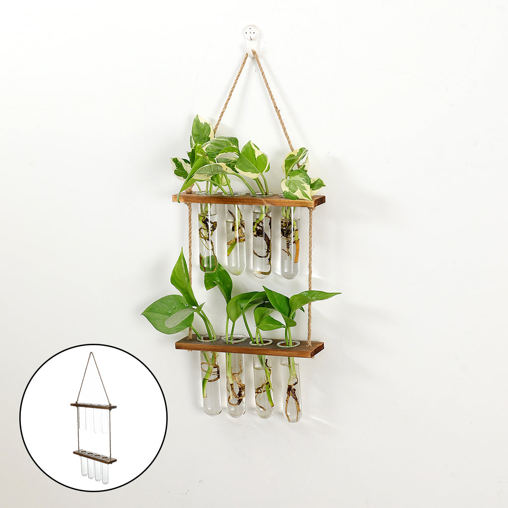 Wall Hanging Terrarium Flower Glass Planter Propagator for Plant Garden
